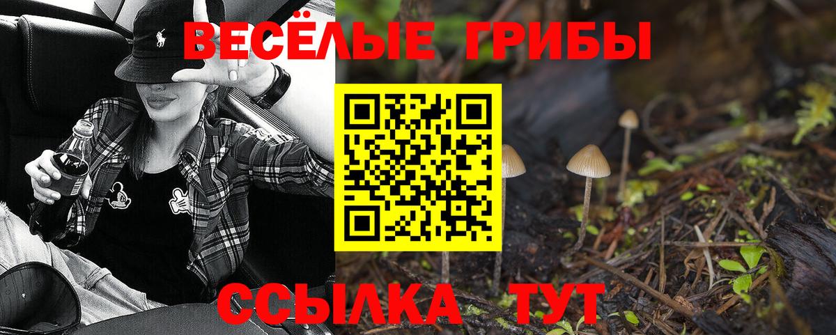 Псилоцибиновые грибы Psilocybe Самара